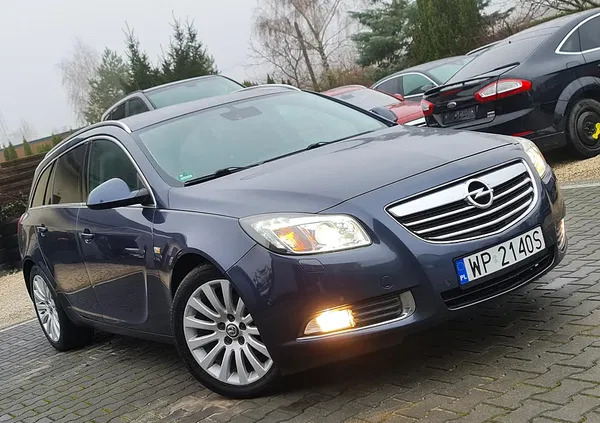 płock Opel Insignia cena 22900 przebieg: 265000, rok produkcji 2009 z Płock